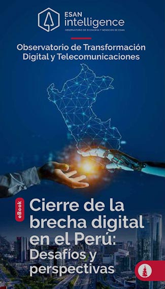 Cierre De La Brecha Digital En El Perú Desafíos Y Perspectivas 2920